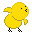 :chick: